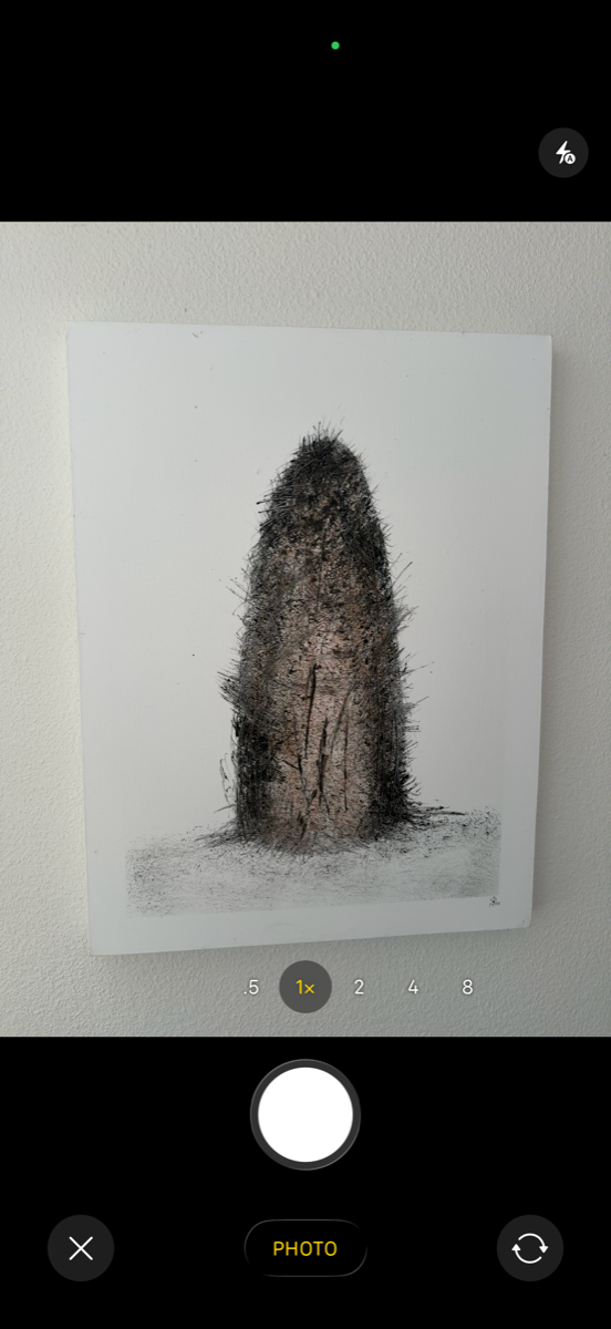 System camera viewfinder aimed at a painting hanging on a wall